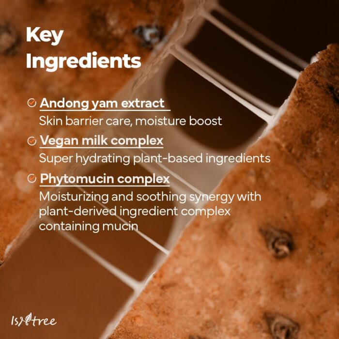 ISNTREE Yam Root Vegan Milk Cleanser (220mL) - Image 5