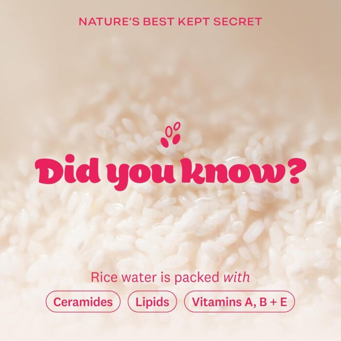 THE FACE SHOP Rice Water Bright Foaming Cleanser (150mL) - Image 3
