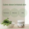 Round Lab Mugwort Calming Moisturizer (80ml) - Image 7