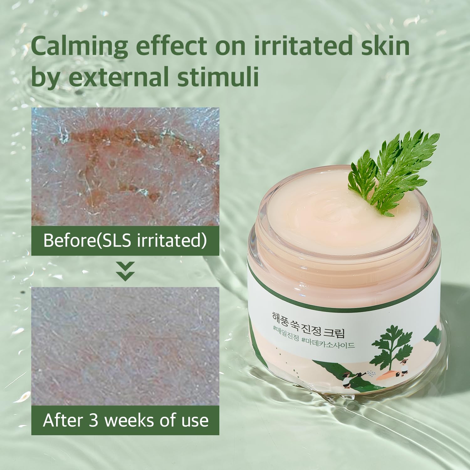 71SzmTbMCTL._SL1500_ Round Lab Mugwort Calming Moisturizer (80ml) - Image 6