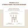 SKIN1004 Madagascar Centella Probio-Cica Intensive Ampoule (50mL) - Image 6