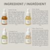 Beauty of Joseon Hanbang Serum Discovery Kit - Image 8