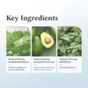 Dr. Althea 147 Barrier Cream (50mL) - Image 6