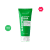 NINELESS A-Control Heartleaf & BHA Foam Cleanser