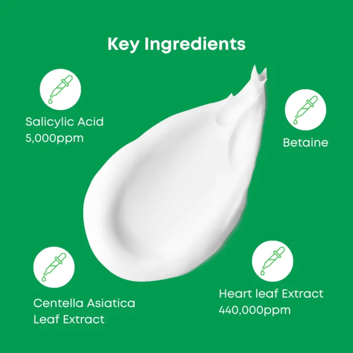 NINELESS A-Control Heartleaf & BHA Foam Cleanser (120mL) - Image 2