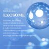 medicube One Day Exosome Shot Pore Ampoule 2000 (30mL) - Image 5