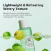Beauty Of Joseon Green Plum Refreshing Toner : AHA + BHA (150mL) - Image 6