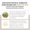 SKIN1004 Madagascar Centella Air-Fit Suncream Plus SPF 50+ PA++++ (50mL) - Image 3