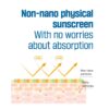 ROUND LAB Birch Mild-Up Sunscreen SPF 50+ PA++++ (50mL) - Image 7
