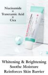 CARE:NEL Anti-Melasma Cica Cream (40mL) - Image 6