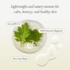 APRIL SKIN Artemisia Rice Essence Toner (200mL) - Image 5