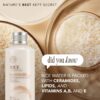 THE FACE SHOP Rice & Ceramide Moisturizing Emulsion (150mL) - Image 6