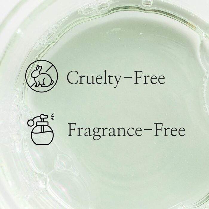 Beauty Of Joseon Green Plum Refreshing Toner : AHA + BHA (150mL) - Image 5