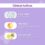 The Derma Co 1% Ceramide Complex Lip Balm with Ceramides & Vitamin E for Dry & Chapped Lips SPF 30+ PA++ (4g) - Image 5