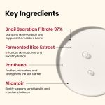 K-SECRET Seoul 1988 Essence : Snail Mucin 97% + Rice (100mL) - Image 3