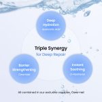 Biodance Hydro Cera-Nol Real Deep Mask Set (4 Masks) - Image 3