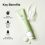 Beauty of Joseon Light On Serum : Centella + Vita C (30mL) - Image 2