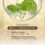 SKIN1004 Madagascar Centella Ampoule Travel Size (55mL) - Image 7