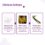 The Derma Co 2% Salicylic Acid Face Serum for Active Acne (30mL) - Image 7
